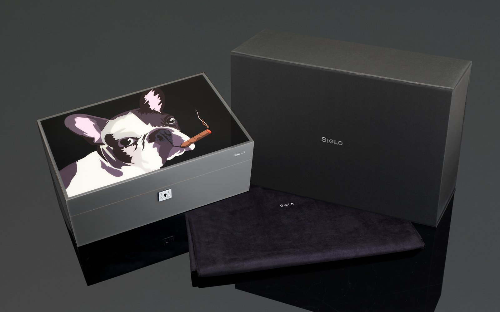 Dog In Black Humidor